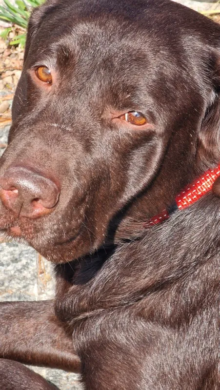 Eva con mucho zoom