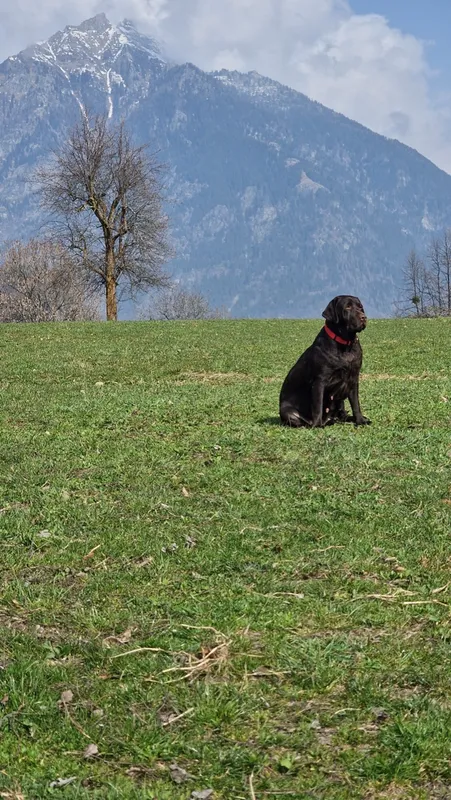 Eva suelta en el campo