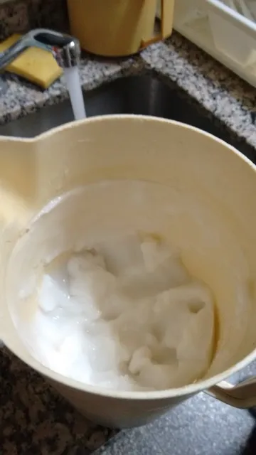 Lache/yogurt de arroz sin leche.