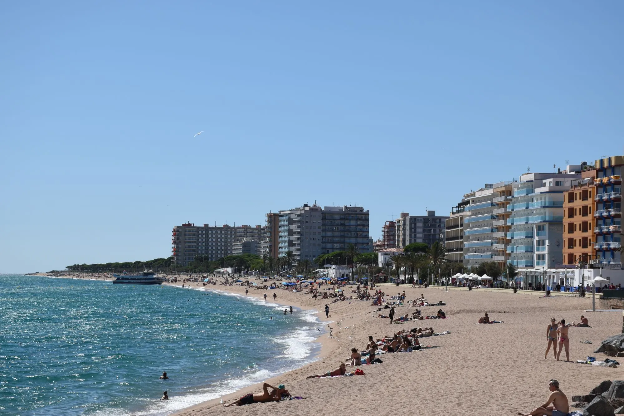 Blanes 2