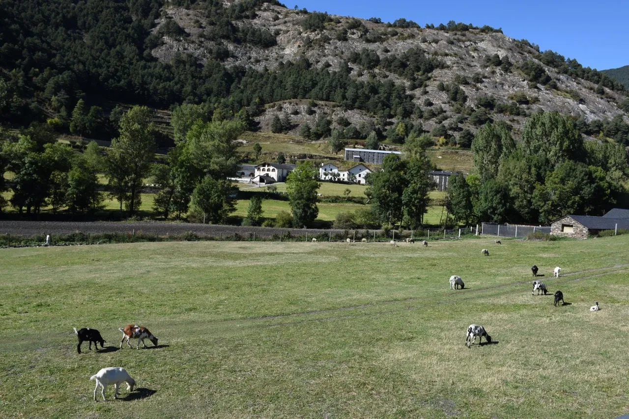 Andorra