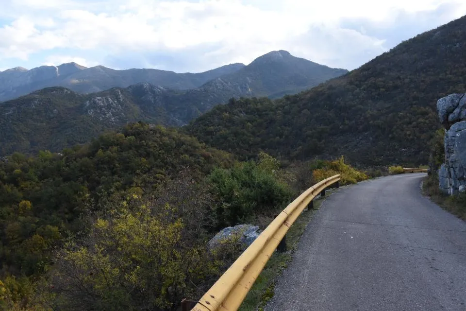 Ruta